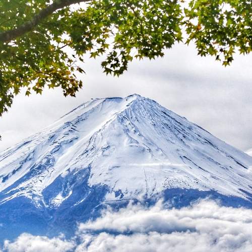 Photo #8482331