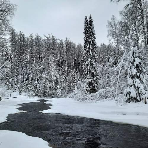 Photo #8482338