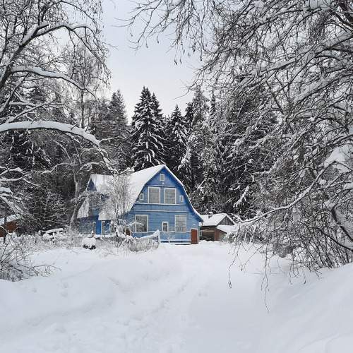 Photo #8482339