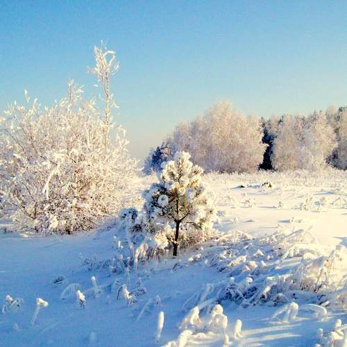 Photo #8482460