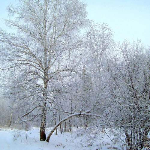 Photo #8482489