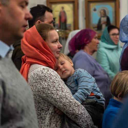 Photo #8482493