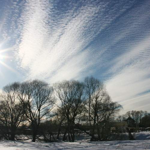 Photo #8482537