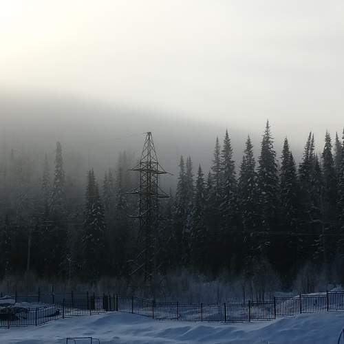 Photo #8482669