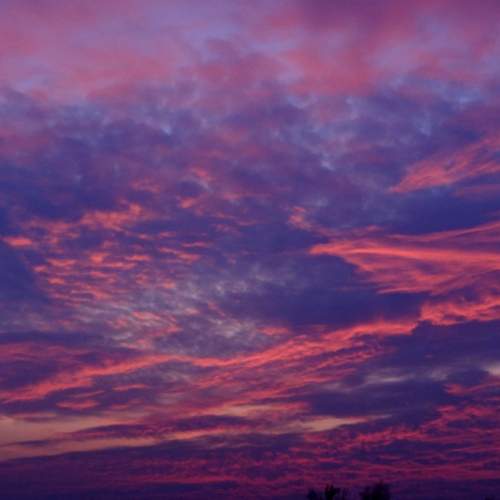 Photo #8482685