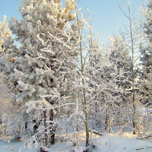 Photo #8482689