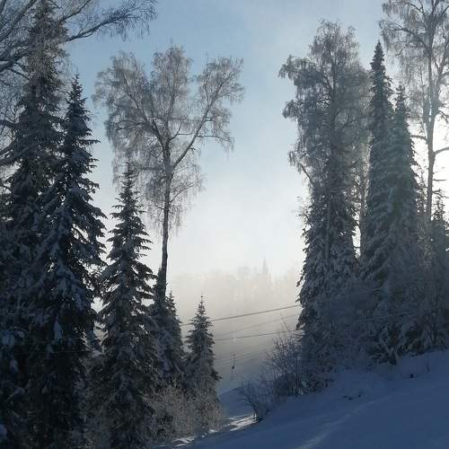 Photo #8482695