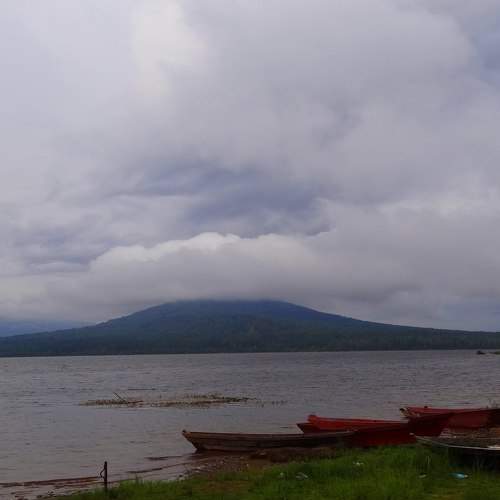 Photo #8482716