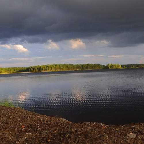 Photo #8482719