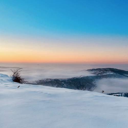 Photo #8482916