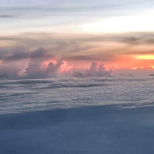Photo #8483035