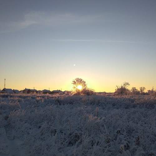 Photo #8483156