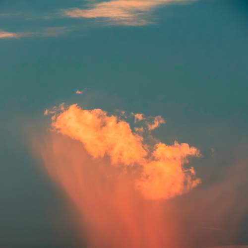 Photo #8483178