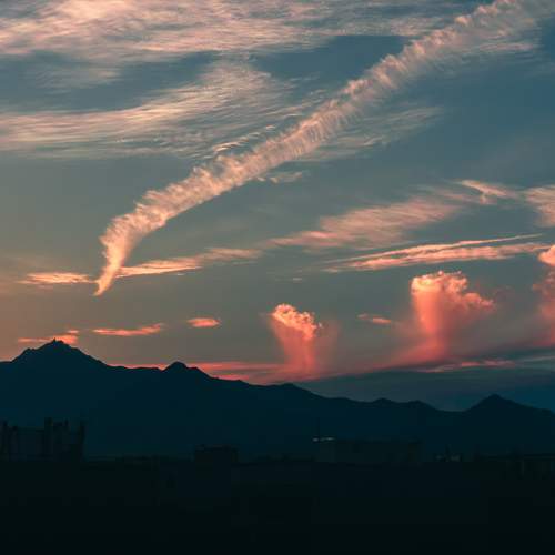 Photo #8483180