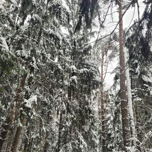 Photo #8483325