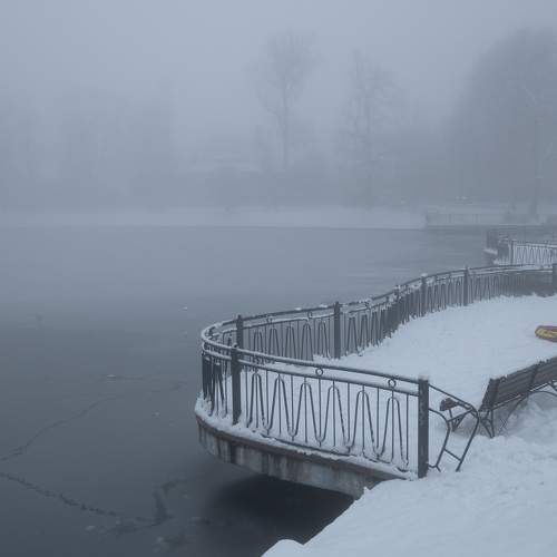 Photo #8483398