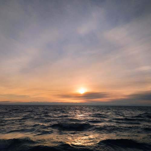Photo #8483419