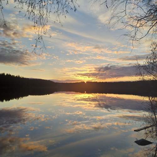 Photo #8483420