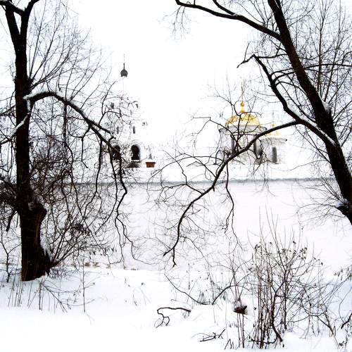 Photo #8483450