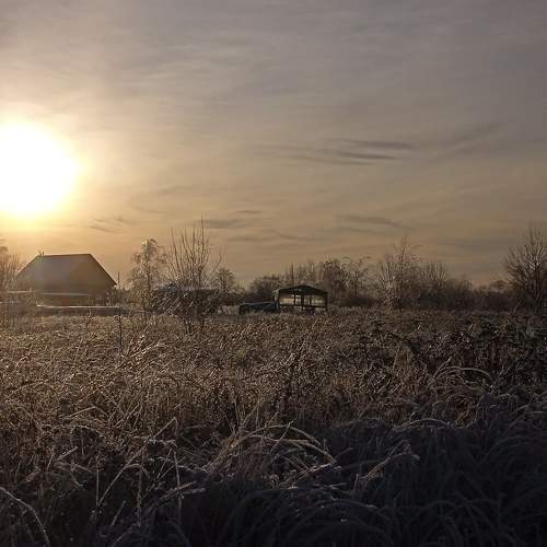 Photo #8483580