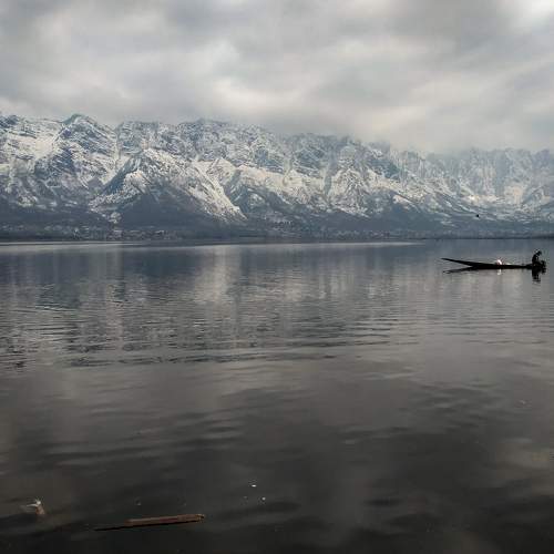 Photo #8483587