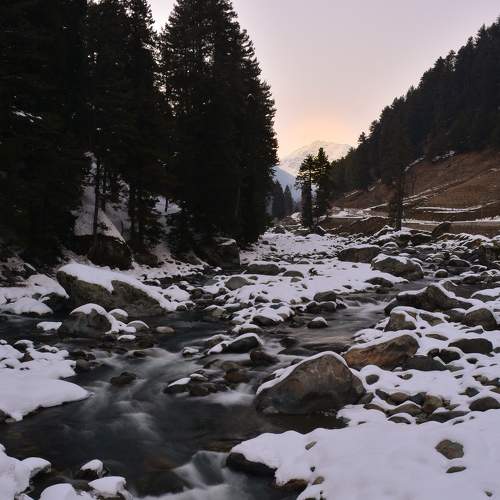 Photo #8483611