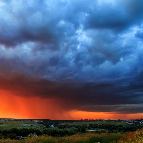 Photo #8483671