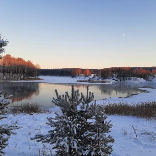 Photo #8483715