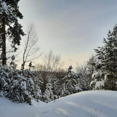 Photo #8483720