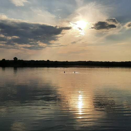 Photo #8483759
