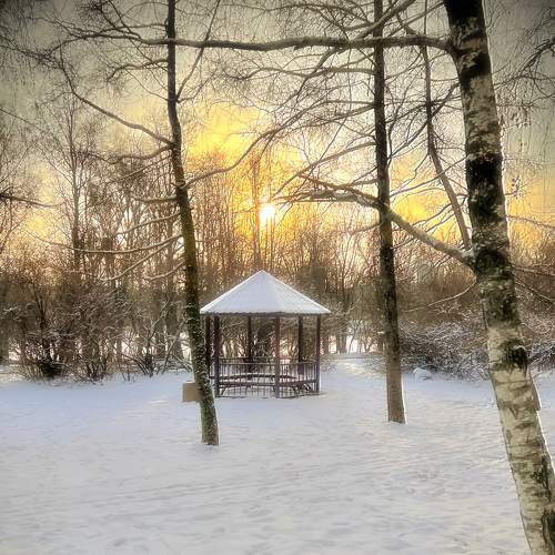 Photo #8483809