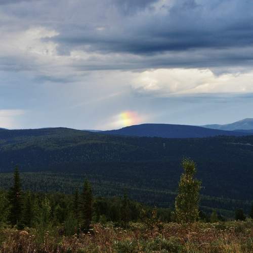 Photo #8483934