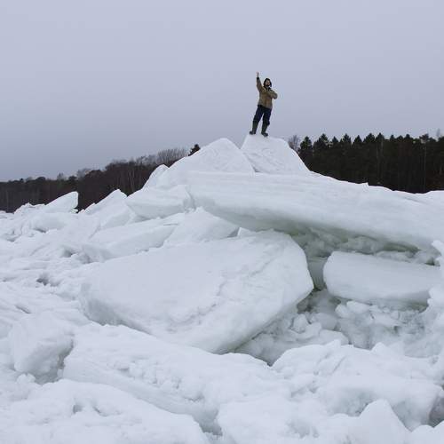Photo #8484447