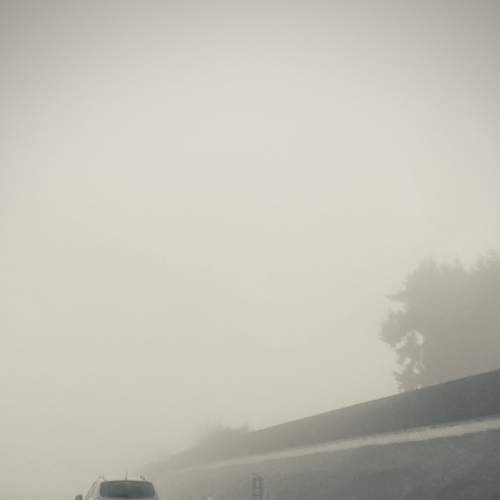 Photo #8484462
