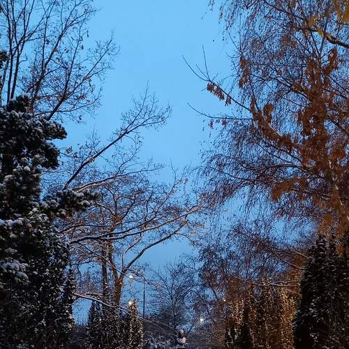 Photo #8484474
