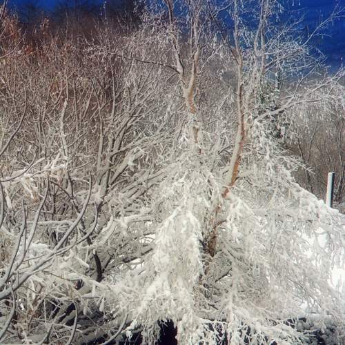 Photo #8484583