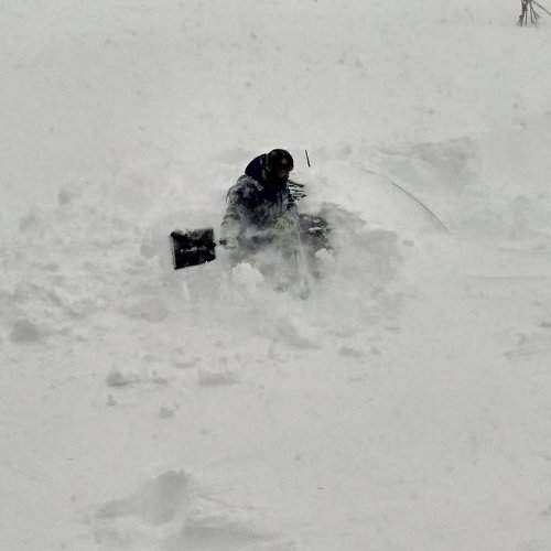 Photo #8484623