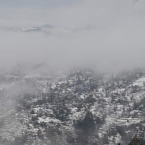 Photo #8484685