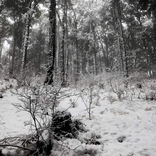 Photo #8484686