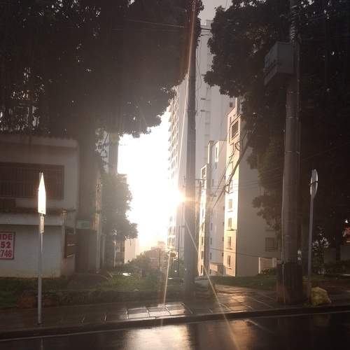 Photo #8484713