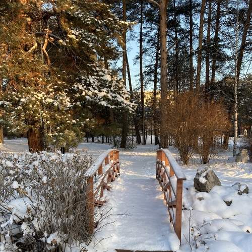 Photo #8484726