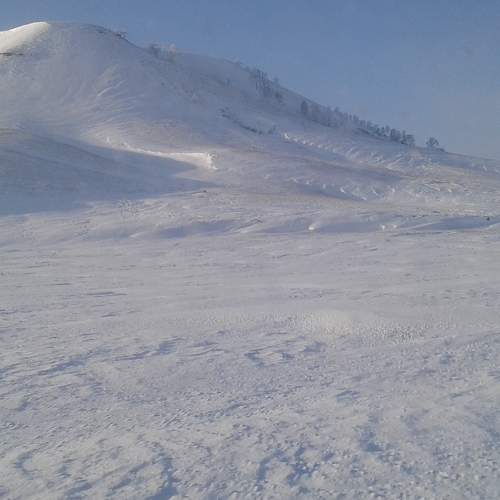 Photo #8484745