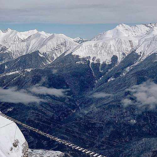 Photo #8484806