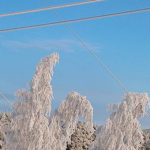 Photo #8484812