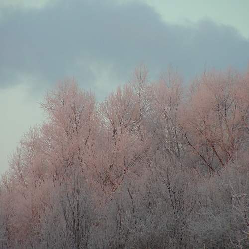 Photo #8484869