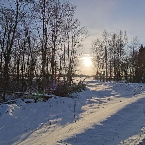 Photo #8484896