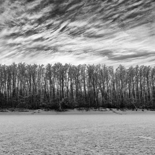 Photo #8485096
