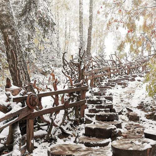 Photo #8485121