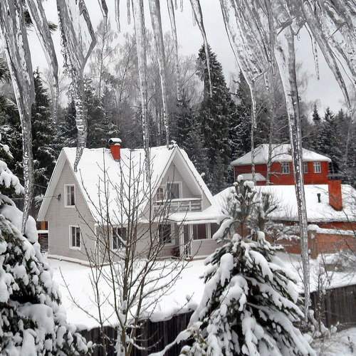 Photo #8485148