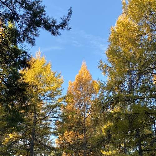 Photo #8485159